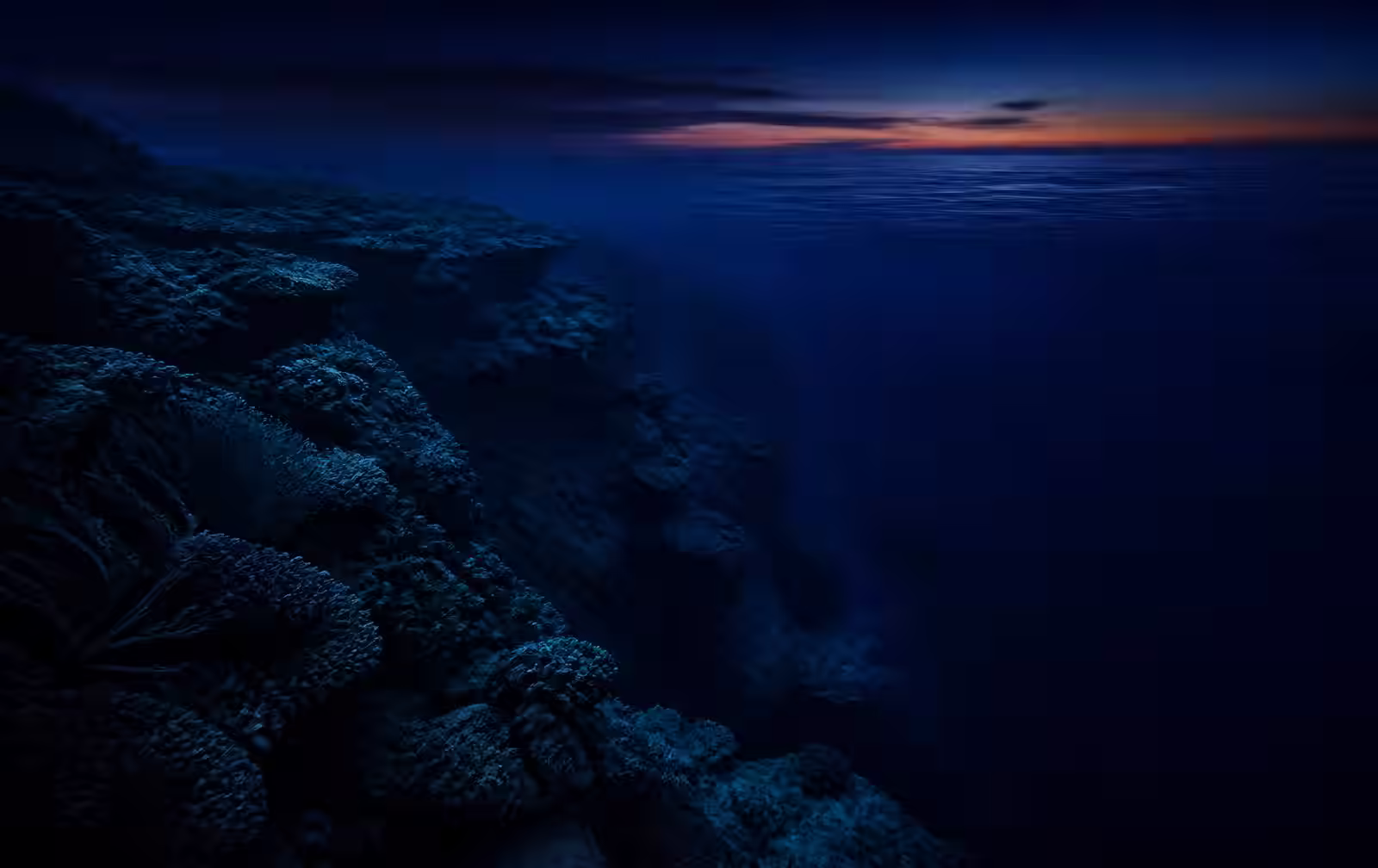 A dark reef drop-off under deep blue twilight water with a faint band of sunset on the horizon
