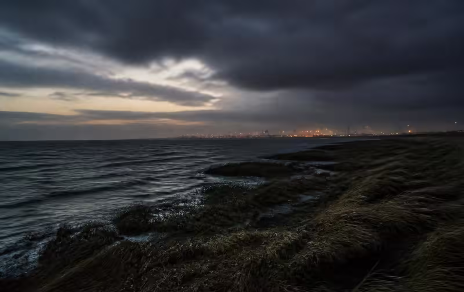 A windswept North Sea coastline at dusk with grey water, marsh grass and distant harbour lights