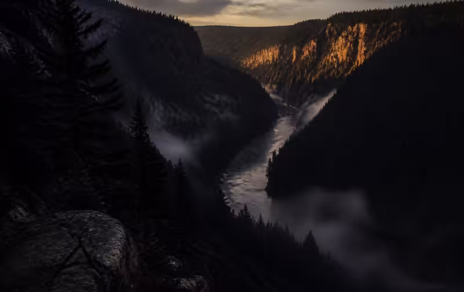 A deep forested river canyon at dawn with mist below and faint gold light on the far cliffs