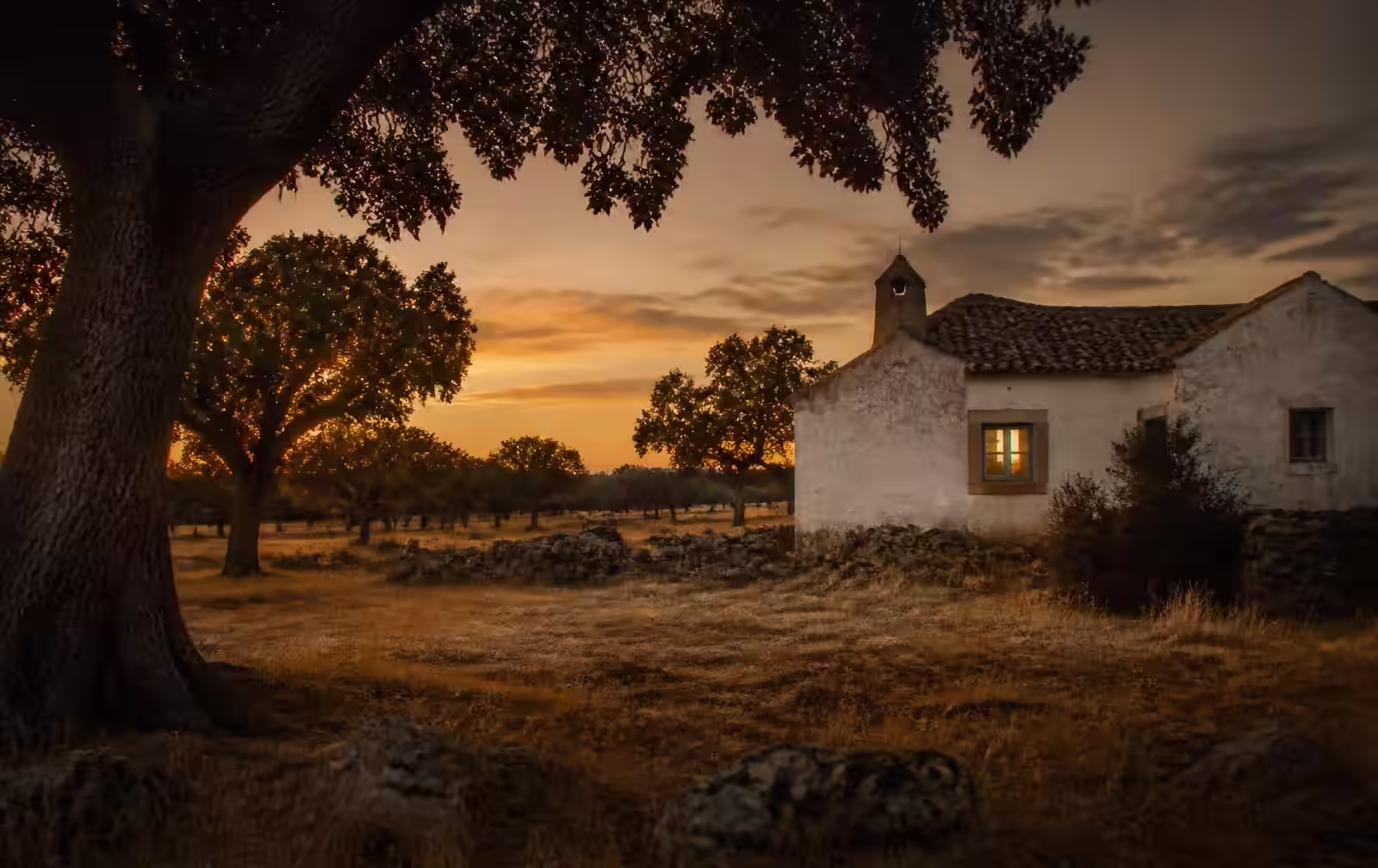 A warm rural plain at dusk with cork oaks and a low whitewashed farmhouse lit from within