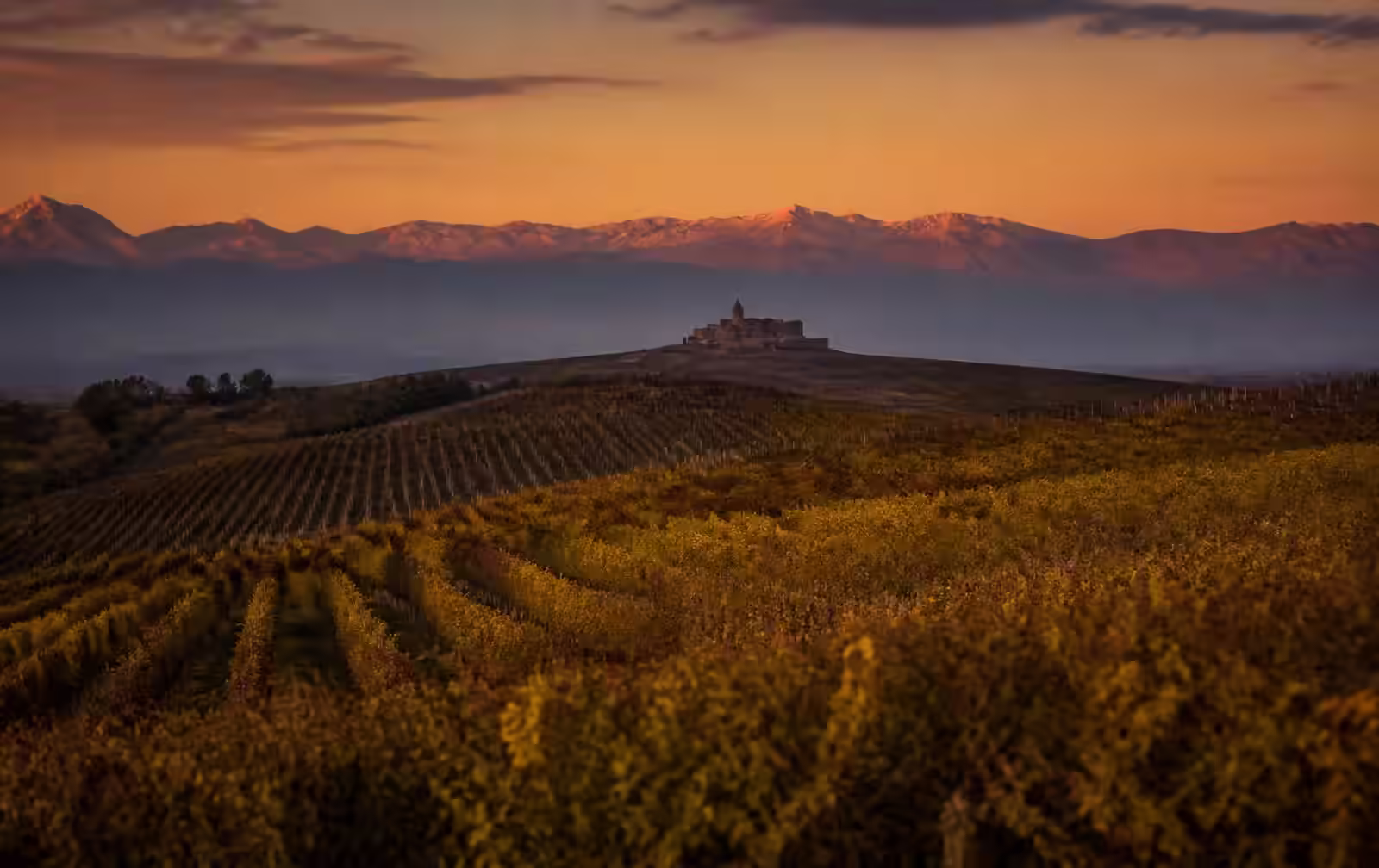 Kakheti wine country at dusk, vineyard rows rolling toward the Caucasus with a distant monastery silhouette