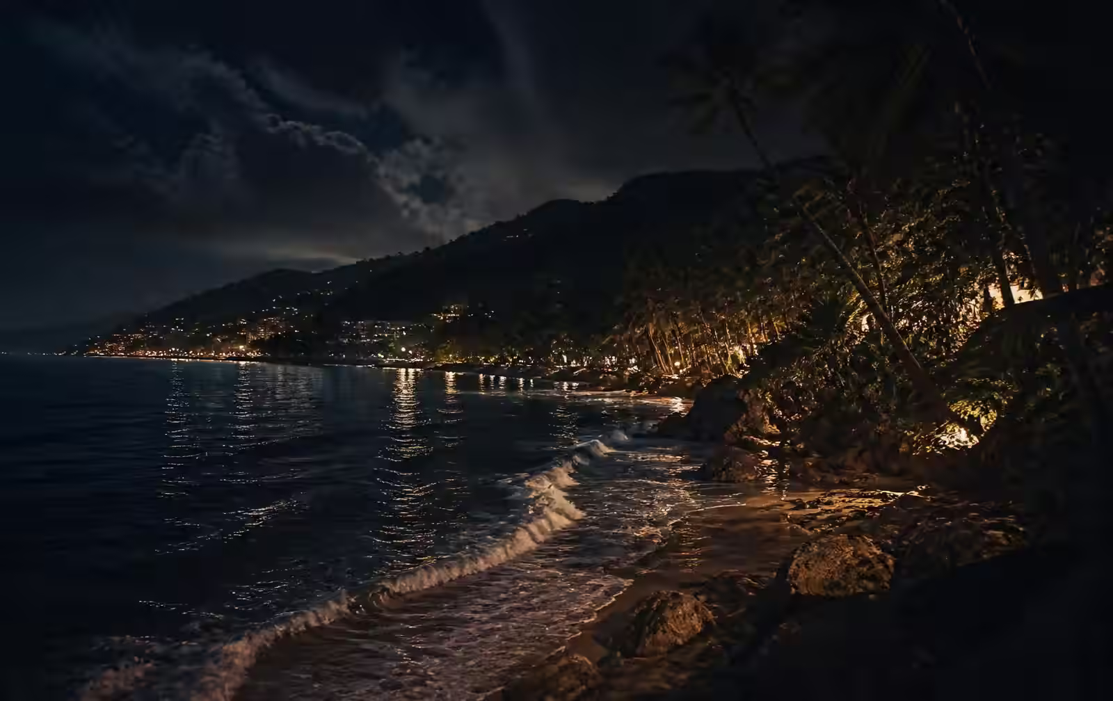 A warm subtropical coastline at night with dark ocean, palms and distant town lights