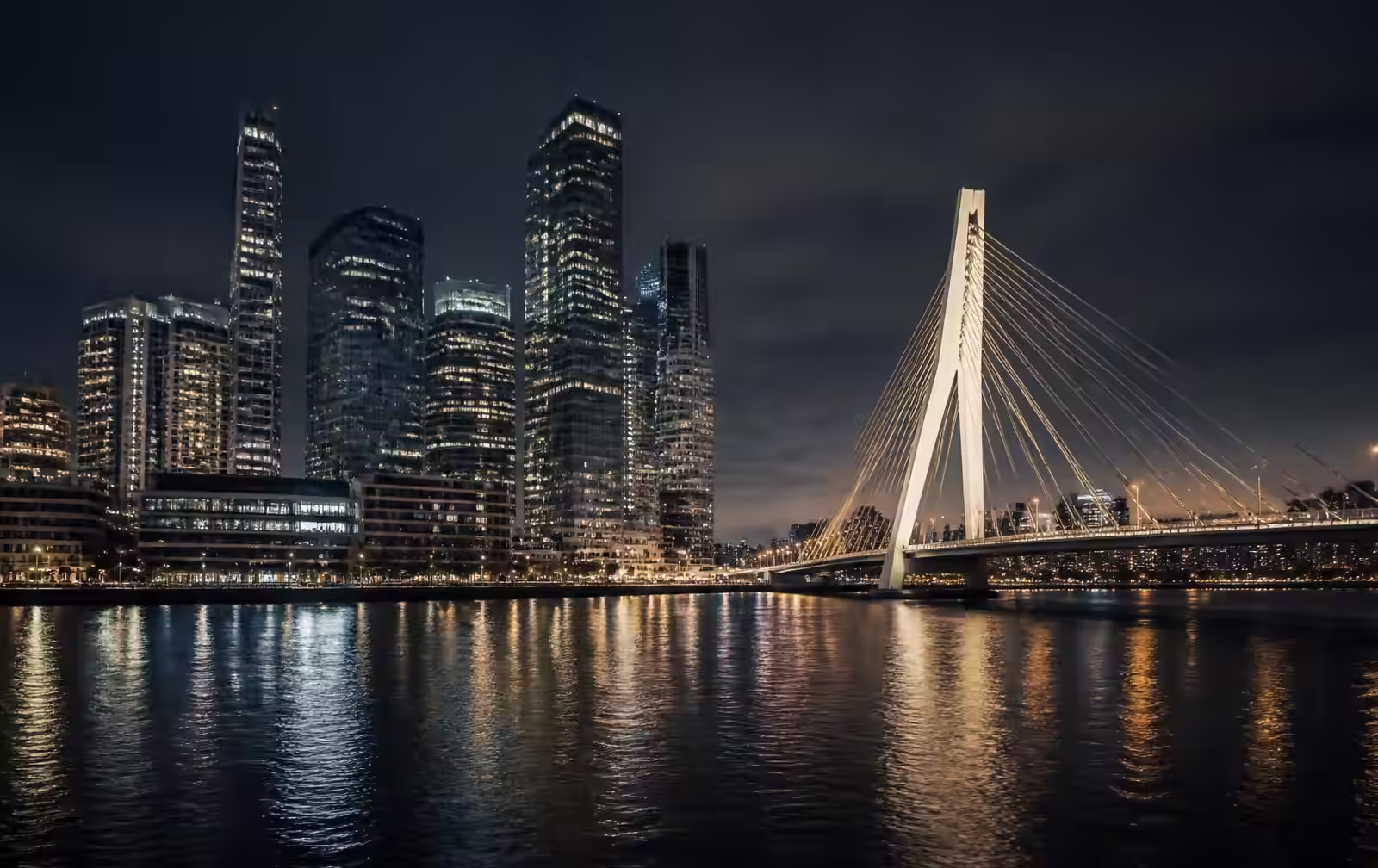 Rotterdam skyline at night with modern glass towers and a lit cable-stayed bridge reflected in the dark river