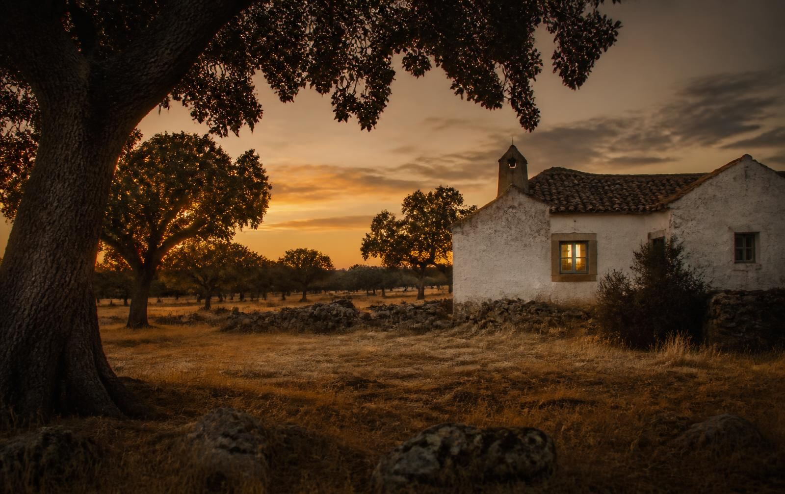 A warm rural plain at dusk with cork oaks and a low whitewashed farmhouse lit from within