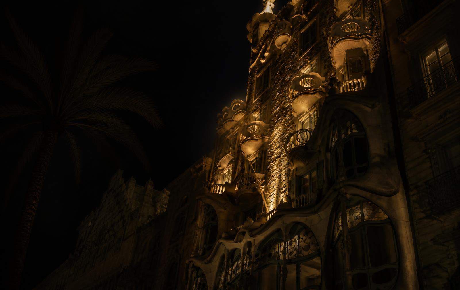 An ornate modernist Barcelona facade lit in warm gold at night beside a dark palm silhouette