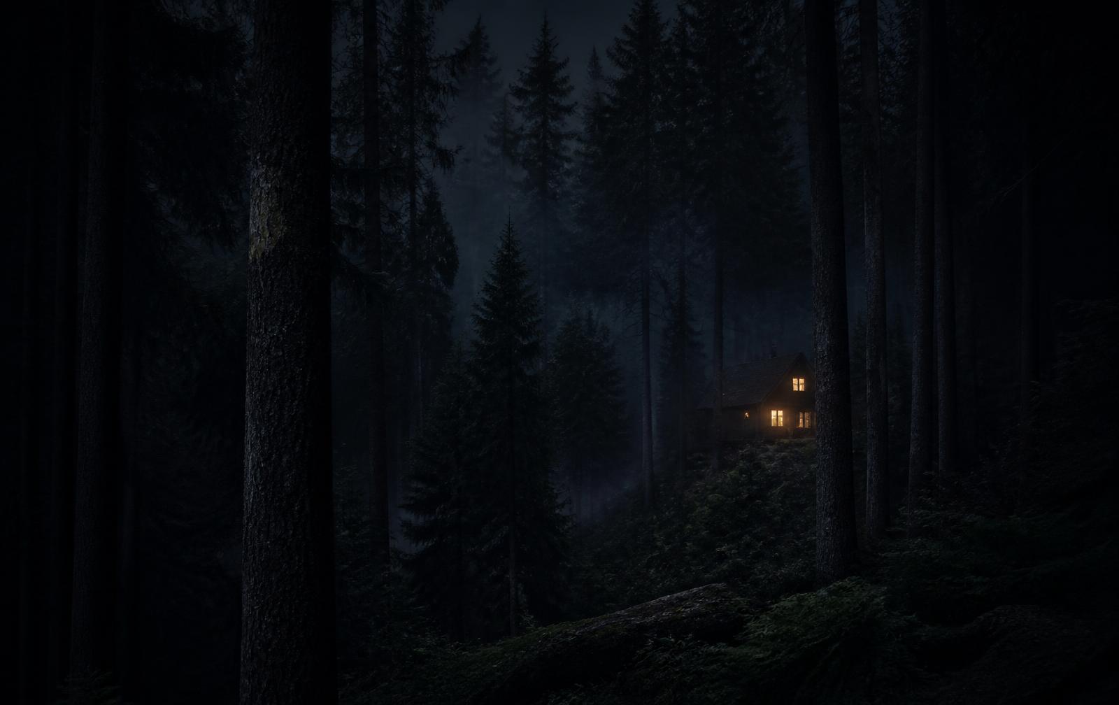 Mist between dark conifers in the Black Forest at dusk with a single warm lit window in a timber house