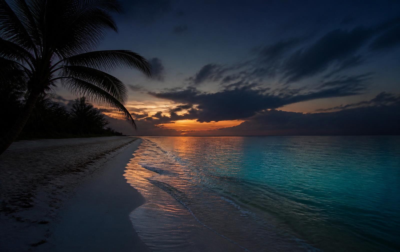 Caribbean beach at dusk near Cancún, palm silhouette over turquoise water darkening under evening cloud