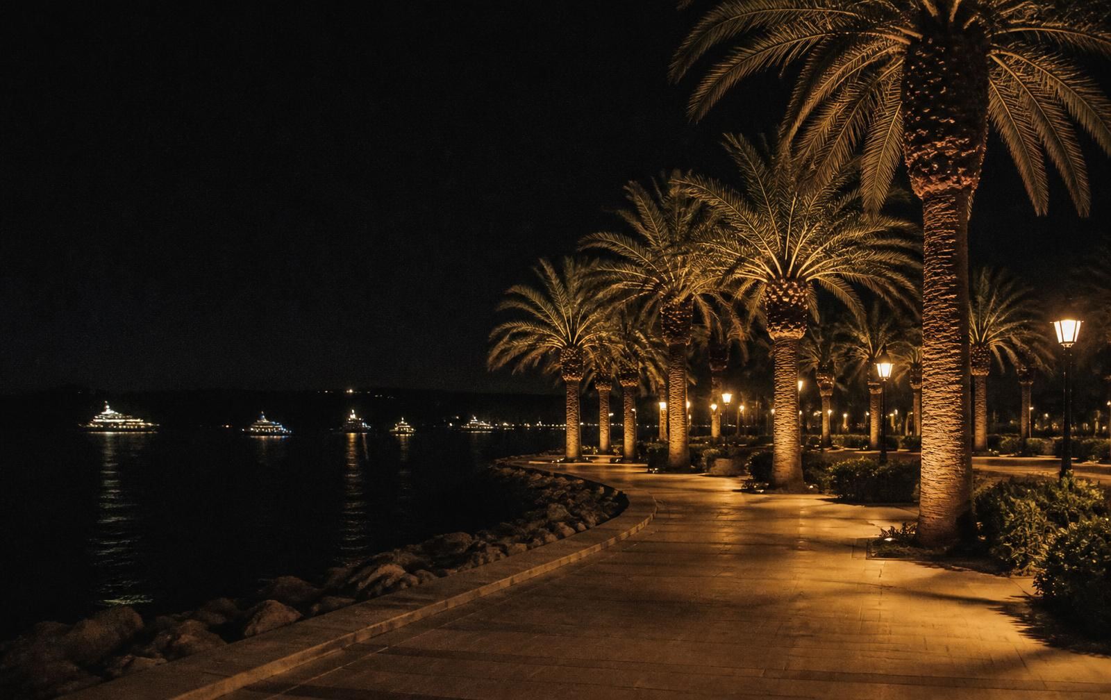 A lamplit Mediterranean seafront promenade in Cannes at night with palms and distant boat lights