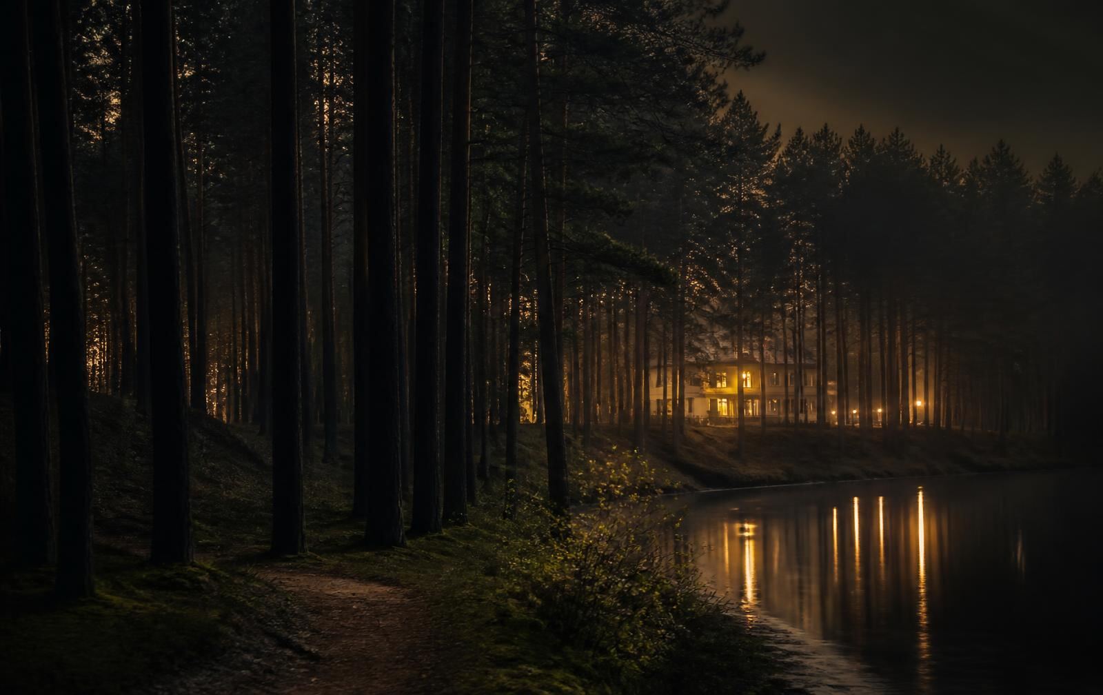 Pine forest beside a calm river near Druskininkai at night, mist between dark trunks and the warm lit windows of a building reflected in the water
