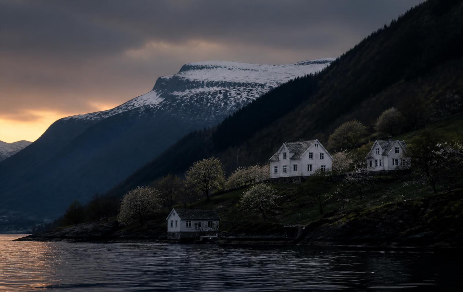 A quiet Norwegian fjord shoreline in late evening, orchard slopes and old white wooden farmhouses above calm dark water below a snow-topped plateau