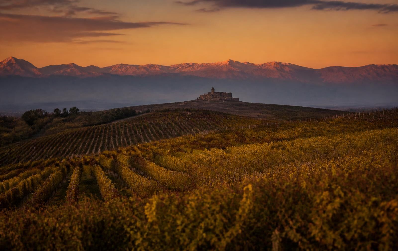 Kakheti wine country at dusk, vineyard rows rolling toward the Caucasus with a distant monastery silhouette