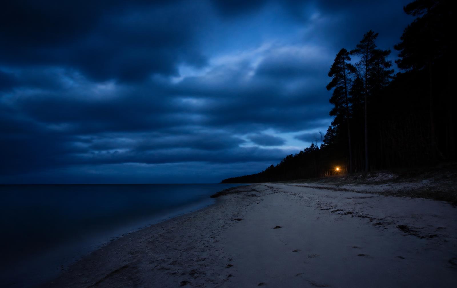 A quiet Latvian Baltic beach at blue hour — pale sand, dark pine silhouettes and one distant warm light under a deep blue sky