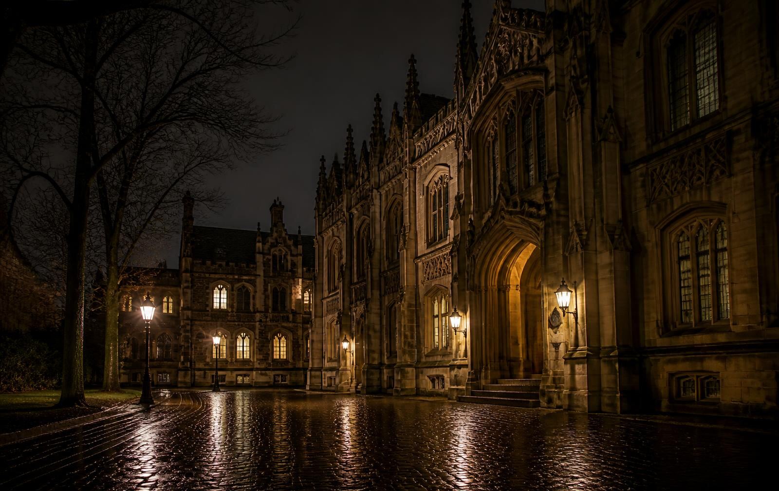 Ornate late-gothic stone façade lit warmly at night above empty wet cobblestones in Leuven