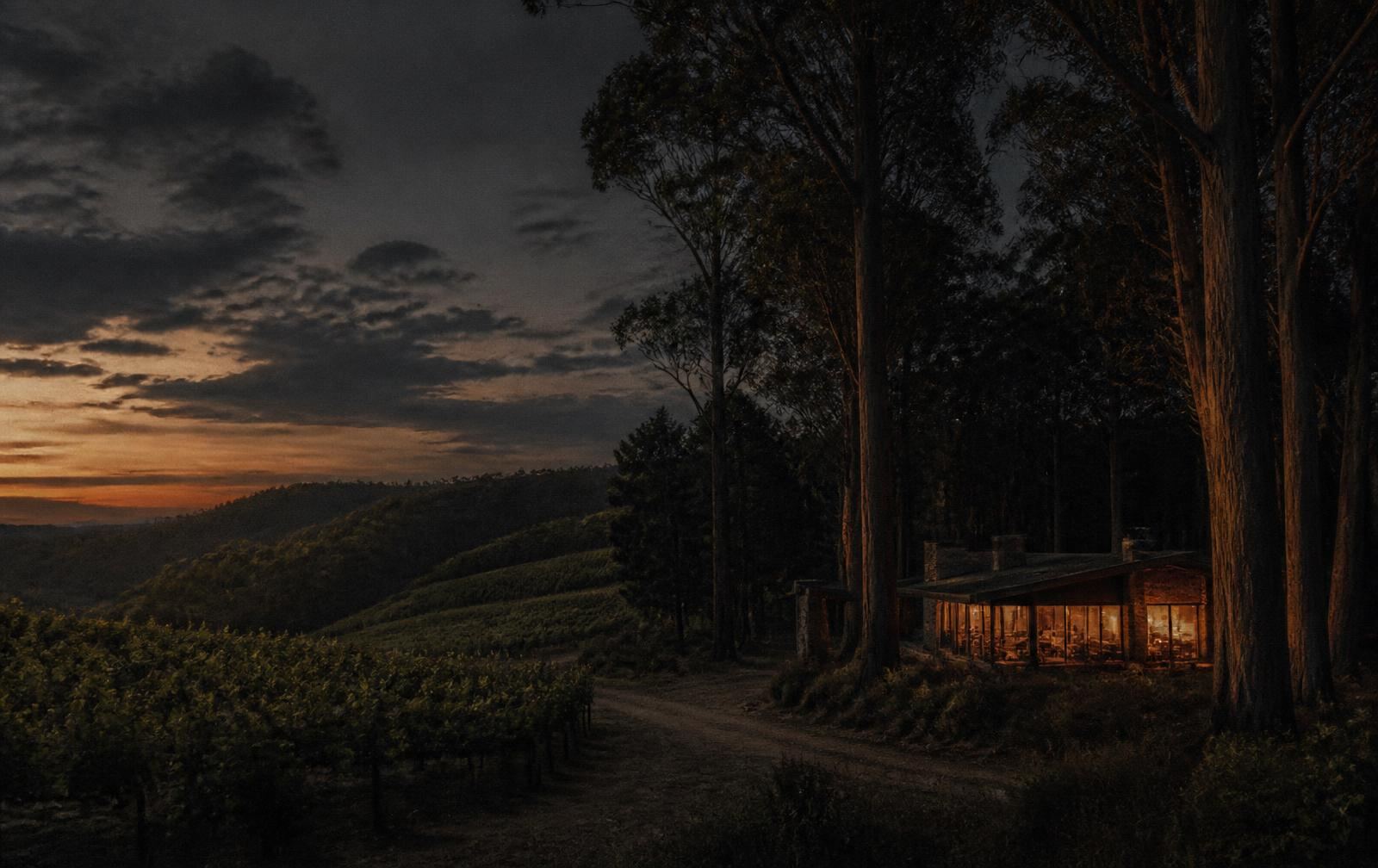 Vineyard country meeting tall karri forest at dusk with warm light in a country lodge window