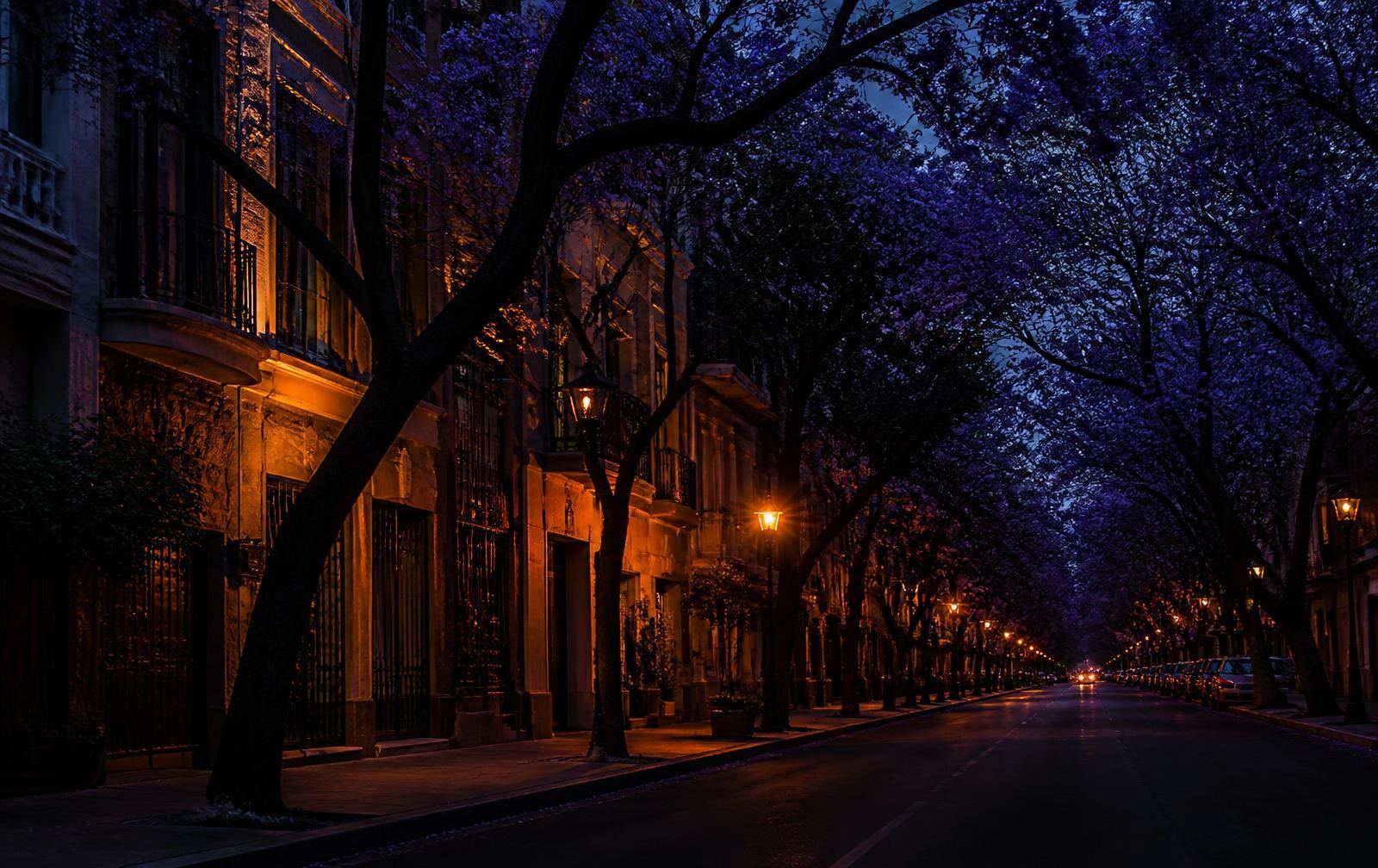 Tree-lined Mexico City street at dusk, jacaranda blossom over art deco facades lit by warm lanterns