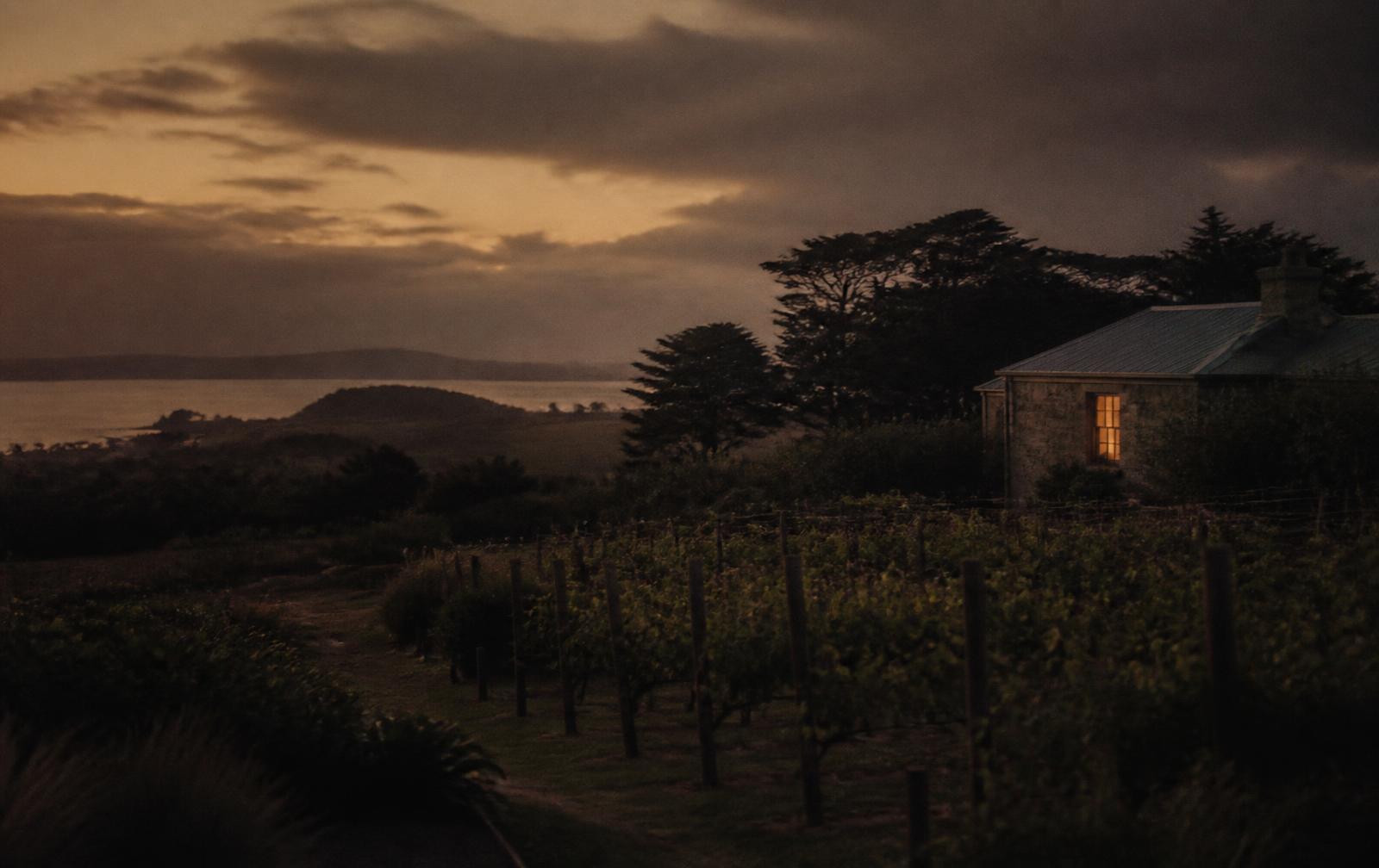 Coastal Victorian countryside at dusk with vineyard rows, cypress trees and one warm lit window in a stone house