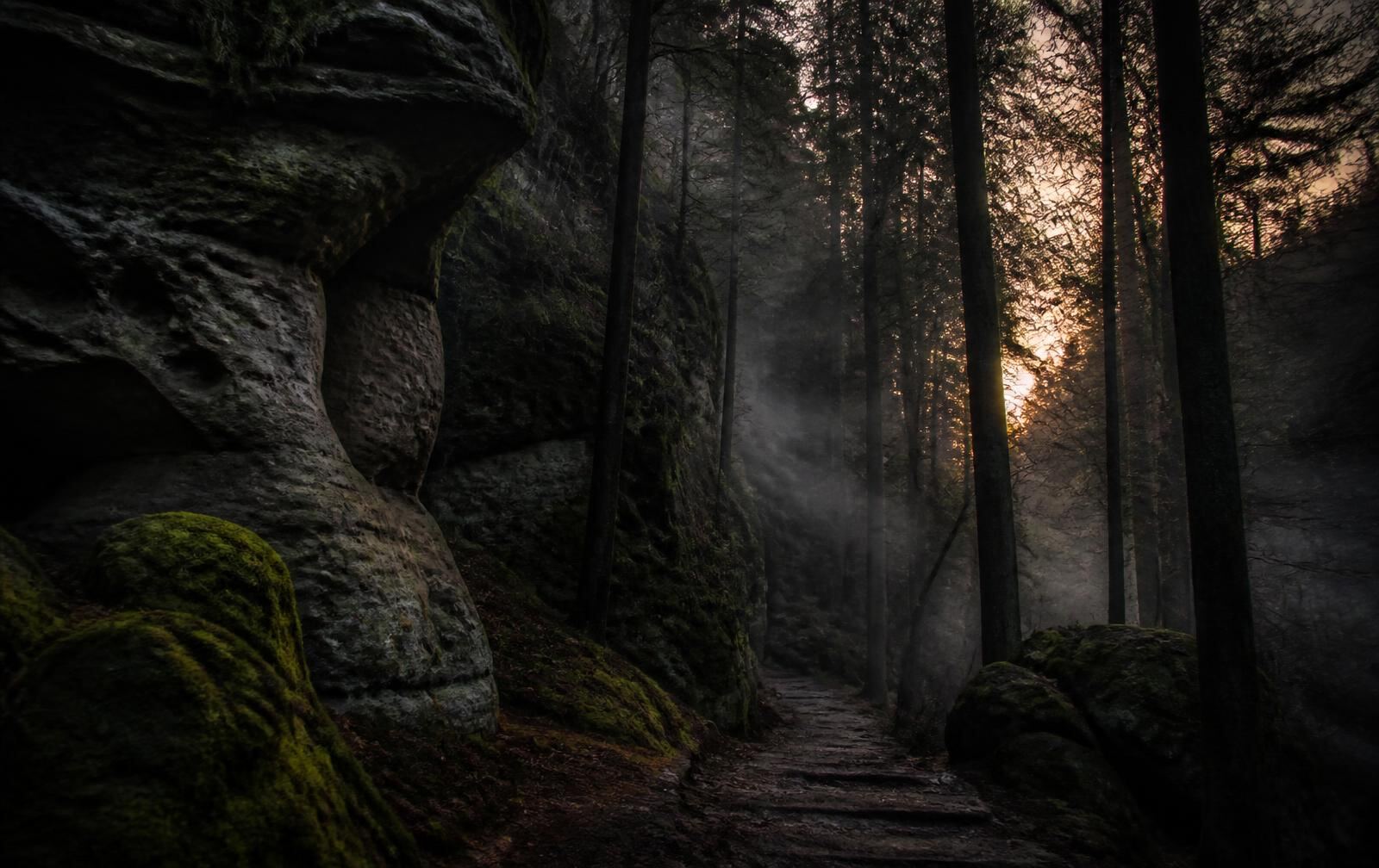 A misty sandstone forest at dusk with mossy rock formations, tall trees and faint warm light through the branches