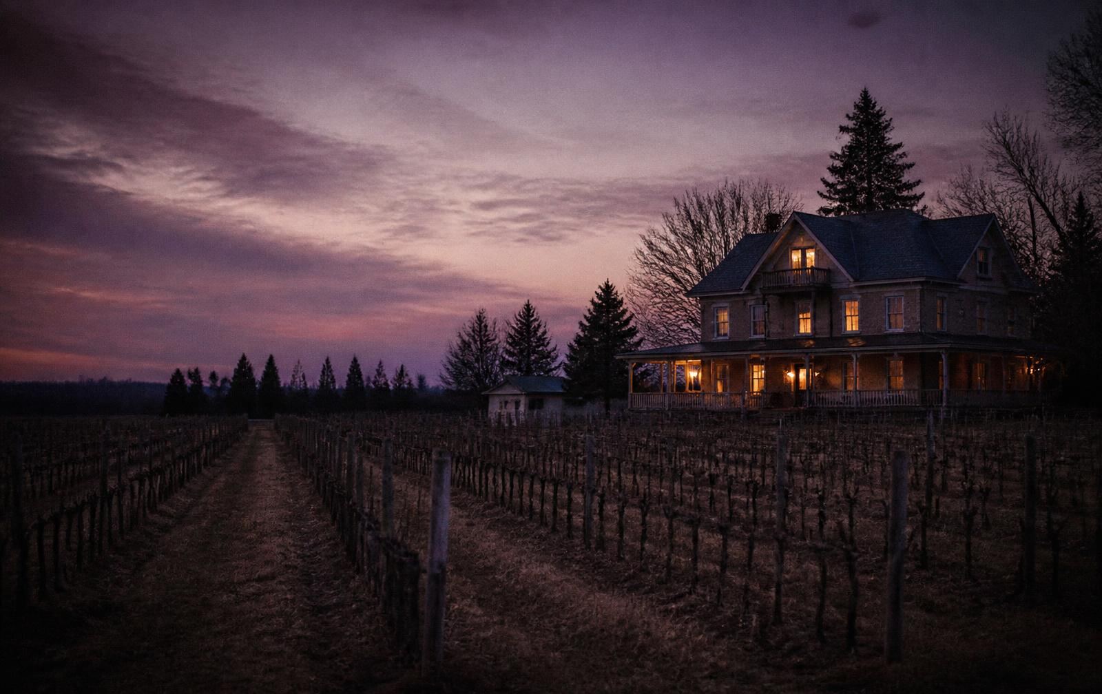 Countryside vineyard at dusk with a dark farmhouse and warmly lit windows under a wide sky