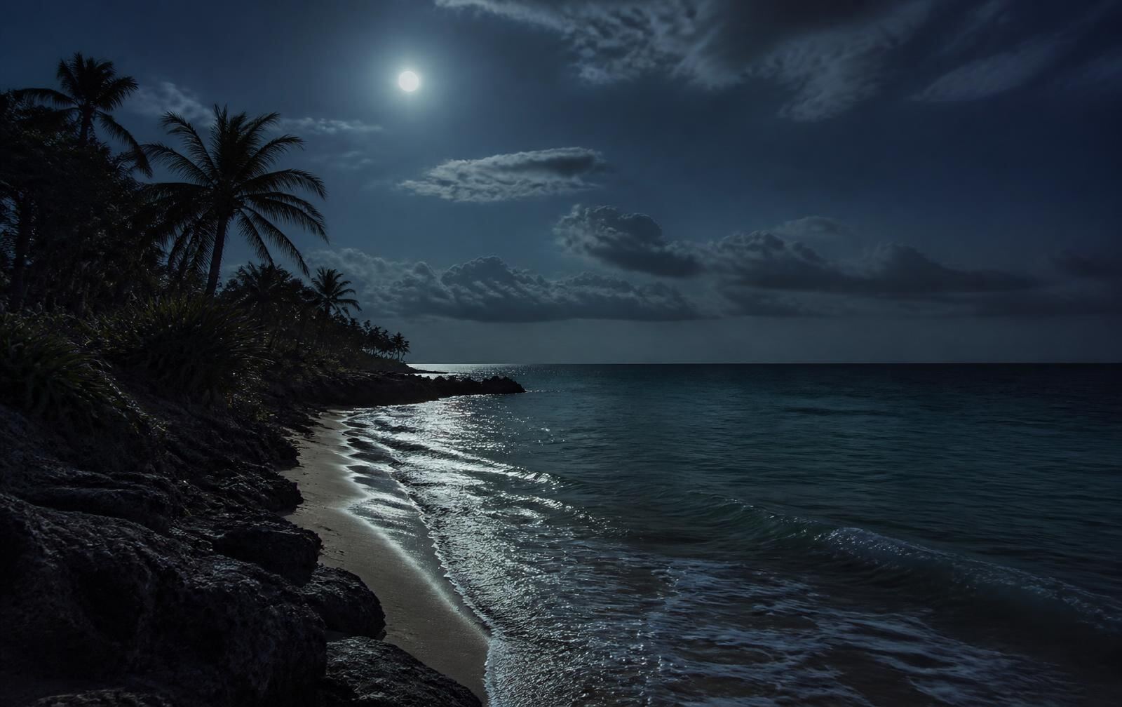 Moonlit Riviera Maya beach, palms in silhouette over a calm sea with light on gentle surf