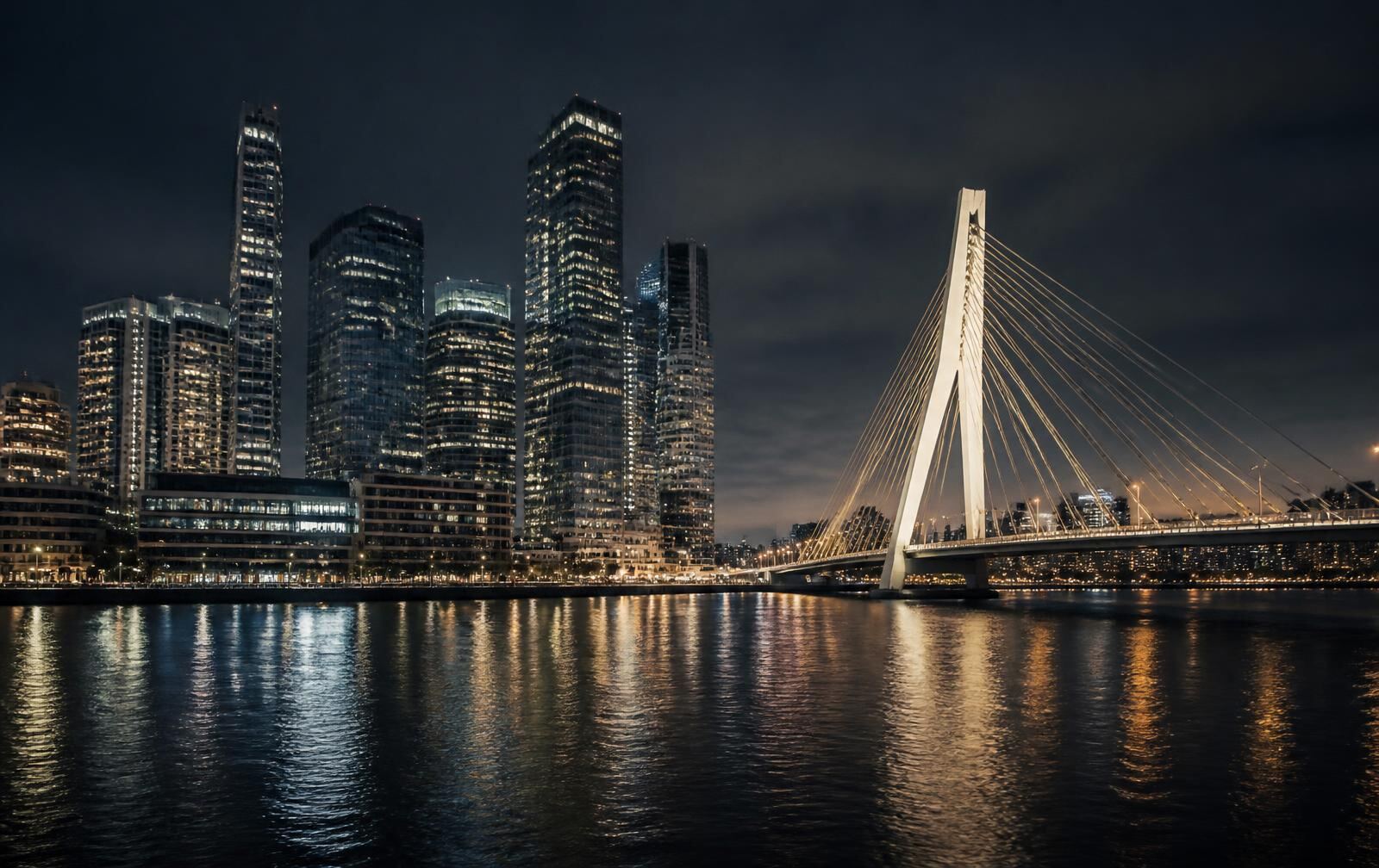 Rotterdam skyline at night with modern glass towers and a lit cable-stayed bridge reflected in the dark river