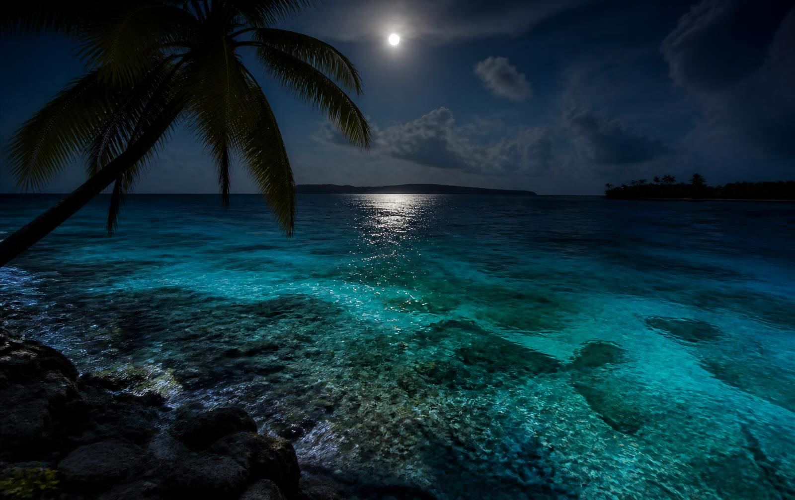 San Andrés at night, a palm silhouette over moonlit turquoise shallows