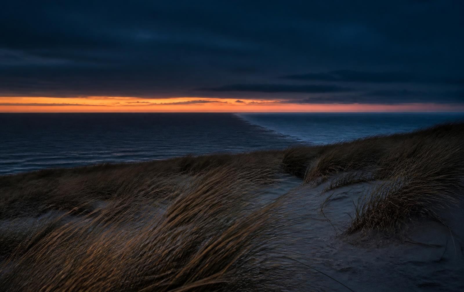 Far northern Danish coastline at late dusk with wide empty horizon, wind-bent dune grass and a last band of gold light above a dark sea