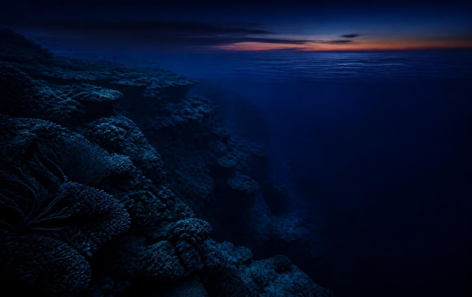 A dark reef drop-off under deep blue twilight water with a faint band of sunset on the horizon