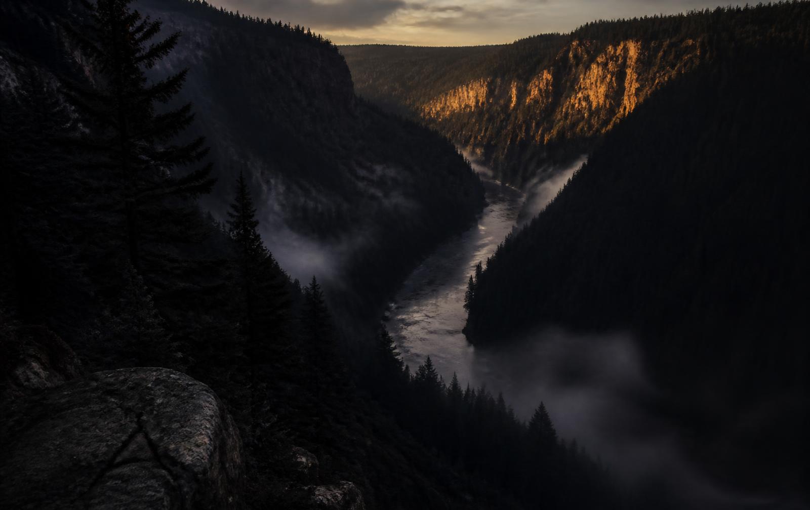 A deep forested river canyon at dawn with mist below and faint gold light on the far cliffs